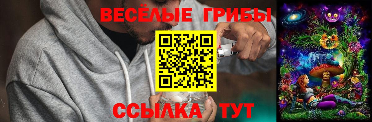 Галлюциногенные грибы GOLDEN TEACHER  Вход с VPN  Галлюциногенные грибы MAGIC MUSHROOMS  Еманжелинск 
